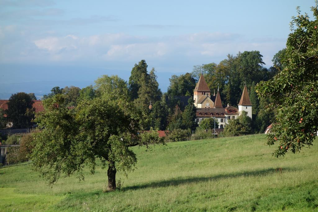 Schloss Muenchenwiler Murten Εξωτερικό φωτογραφία